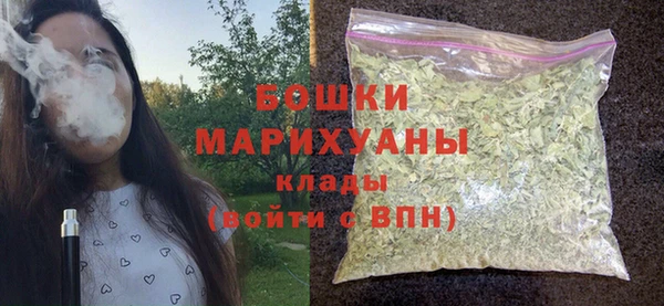 spice Пестово