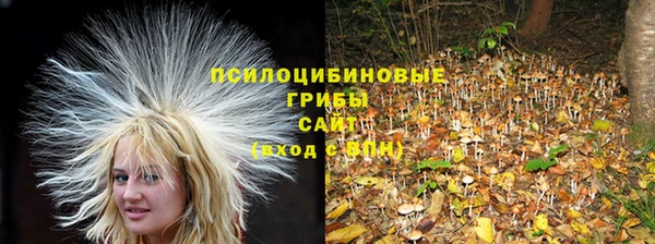 ECSTASY Алзамай