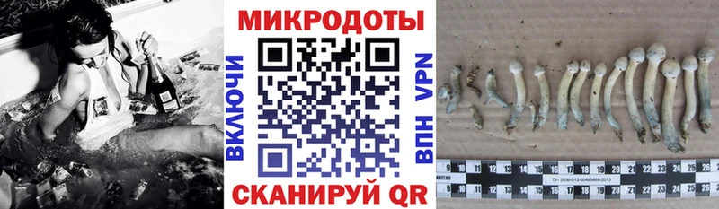Псилоцибиновые грибы мицелий  Оханск 